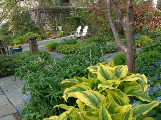 Terry Shane Teaching Garden