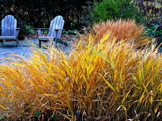 Terry Shane Teaching Garden