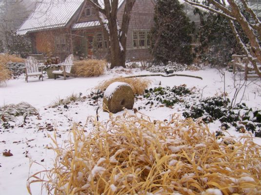 Terry Shane Teaching Garden