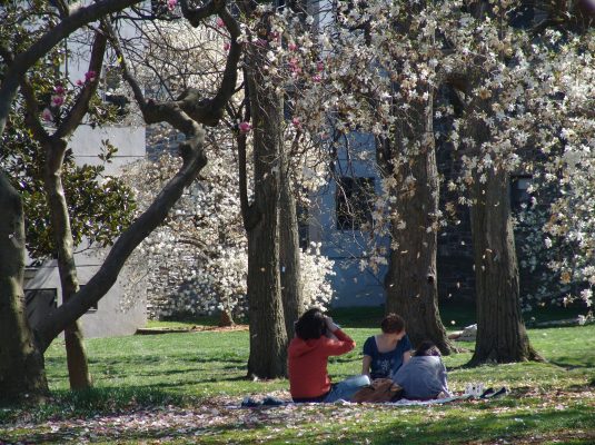 Swarthmore College students under the Magnolia Trees