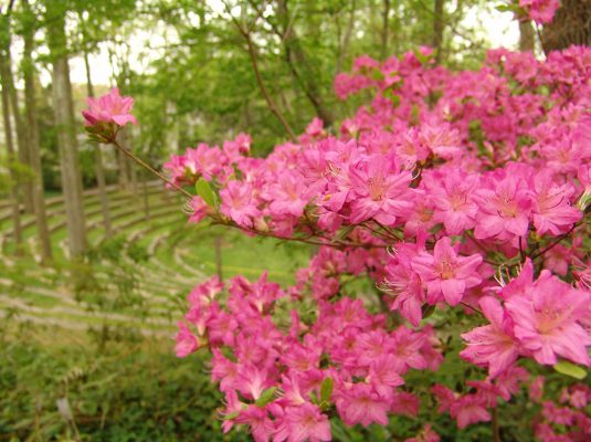 Scott Outdoor Amphitheater